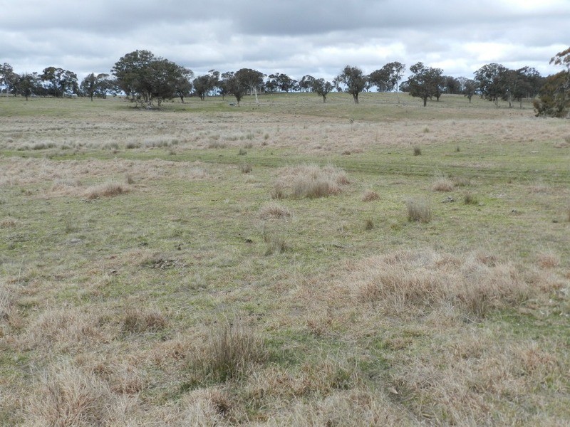 Lot 4 Mullins Creek Road, Breadalbane NSW 2581