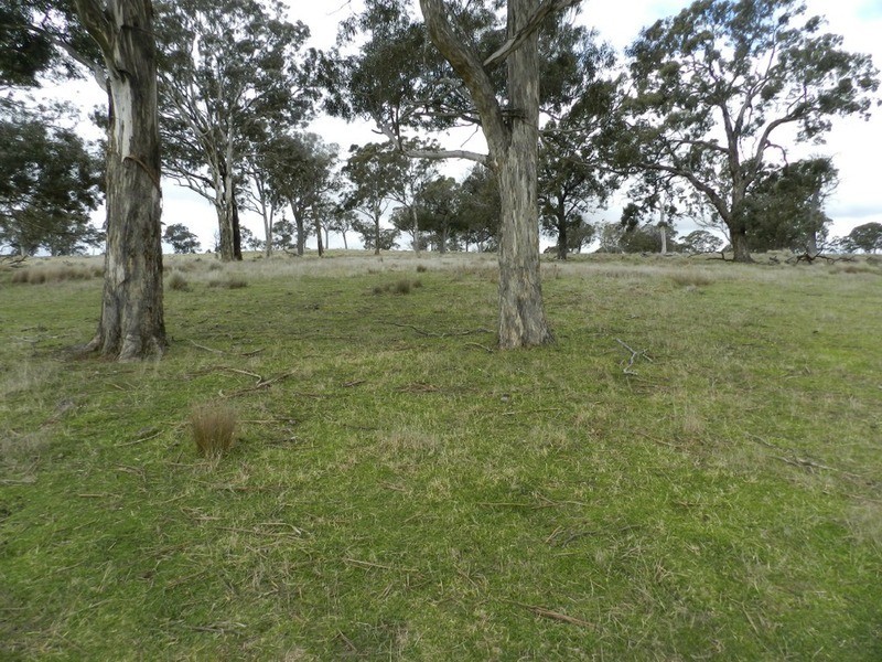 Lot 4 Mullins Creek Road, Breadalbane NSW 2581