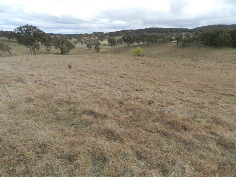 Lot 4 Mullins Creek Road, Breadalbane NSW 2581