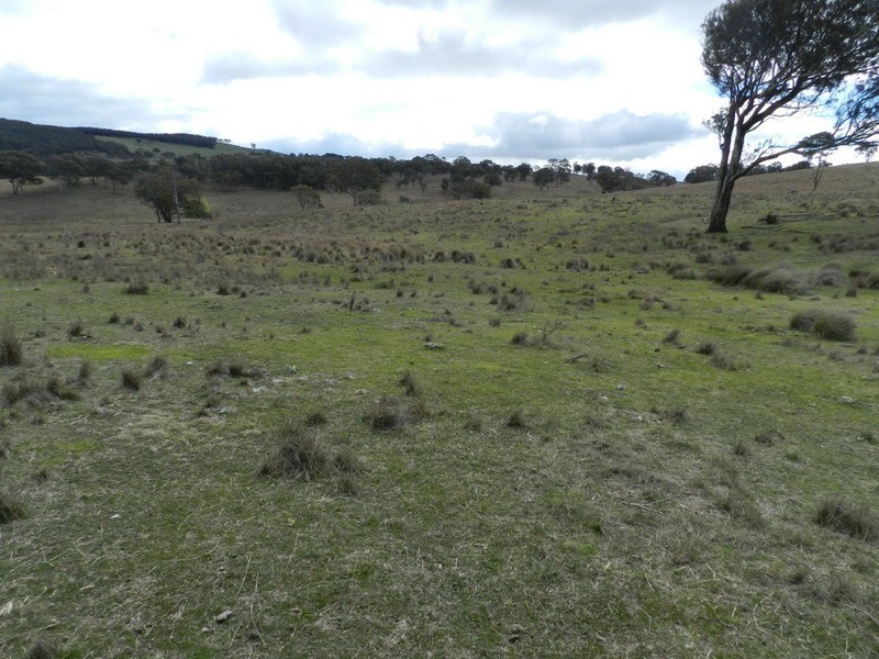Lot 4 Mullins Creek Road, Breadalbane NSW 2581