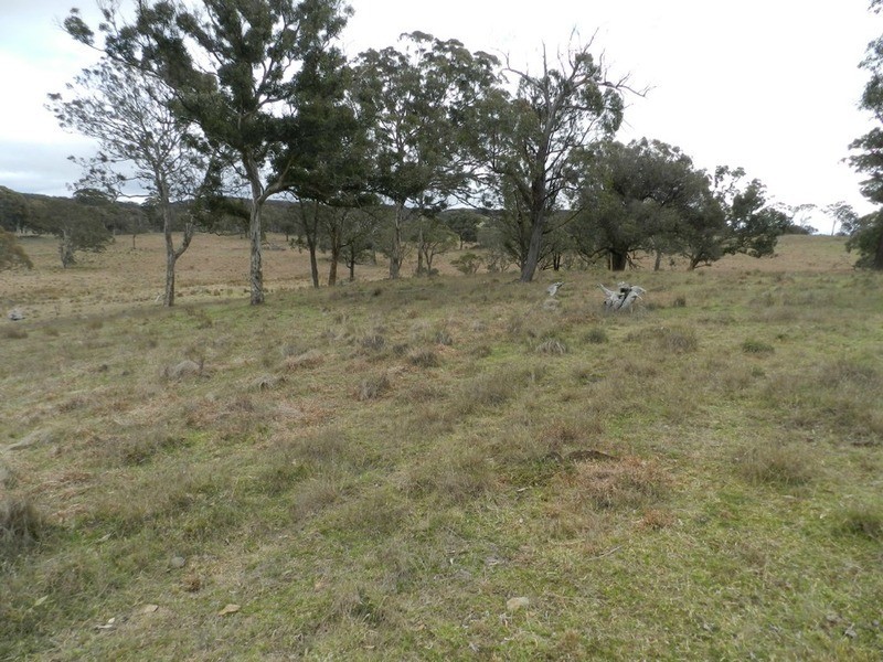 Lot 4 Mullins Creek Road, Breadalbane NSW 2581
