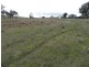 Lot 4 Mullins Creek Road, Breadalbane NSW 2581