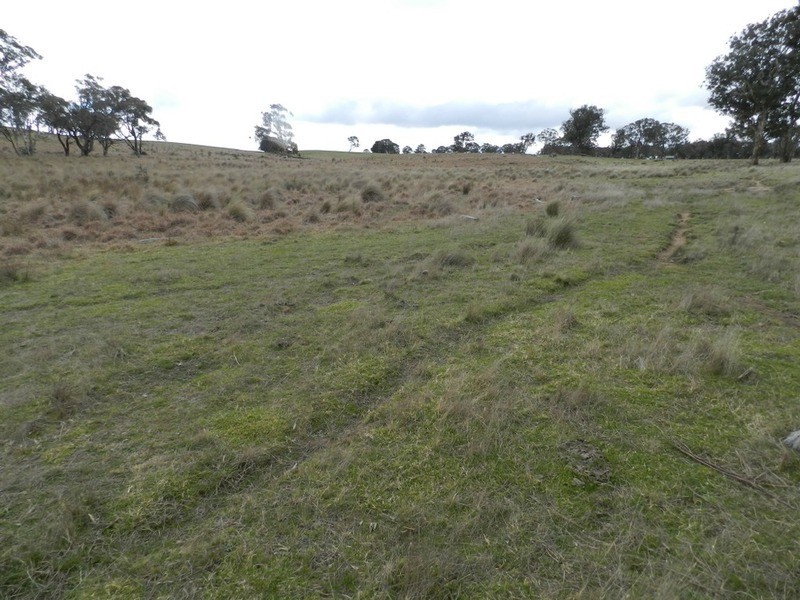 Lot 4 Mullins Creek Road, Breadalbane NSW 2581