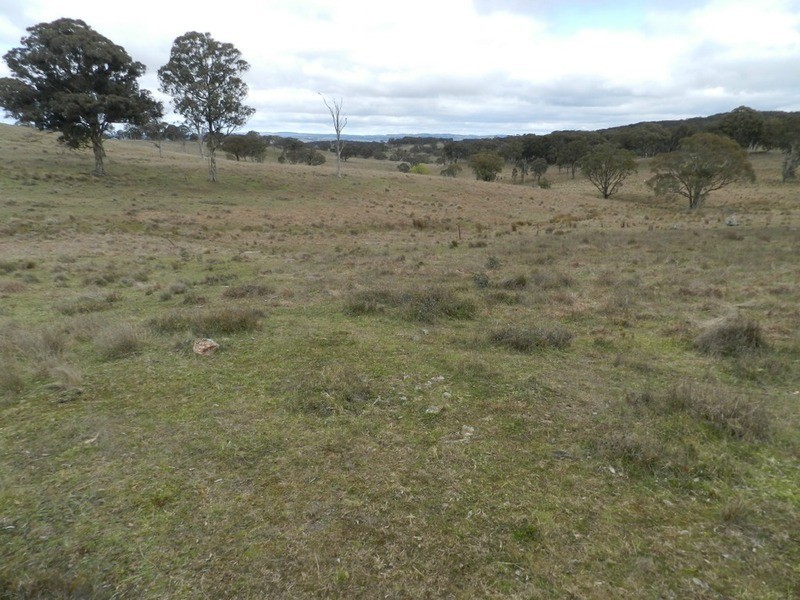 Lot 4 Mullins Creek Road, Breadalbane NSW 2581