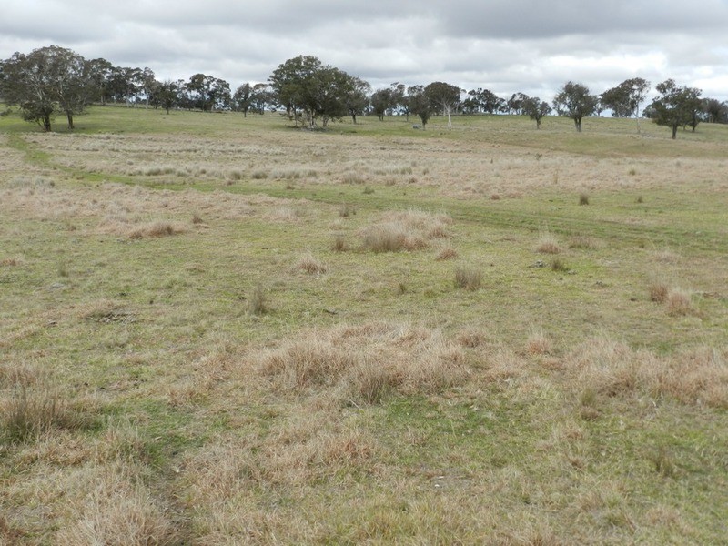 Lot 4 Mullins Creek Road, Breadalbane NSW 2581