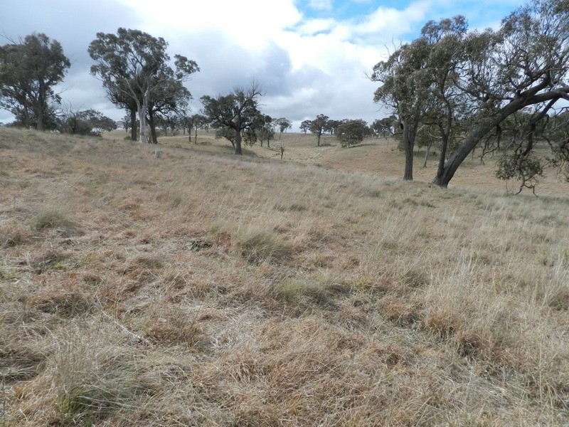 Lot 4 Mullins Creek Road, Breadalbane NSW 2581