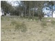 Lot 4 Mullins Creek Road, Breadalbane NSW 2581