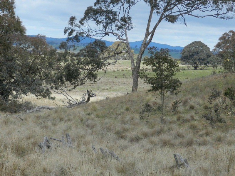 Lot 4 Mullins Creek Road, Breadalbane NSW 2581