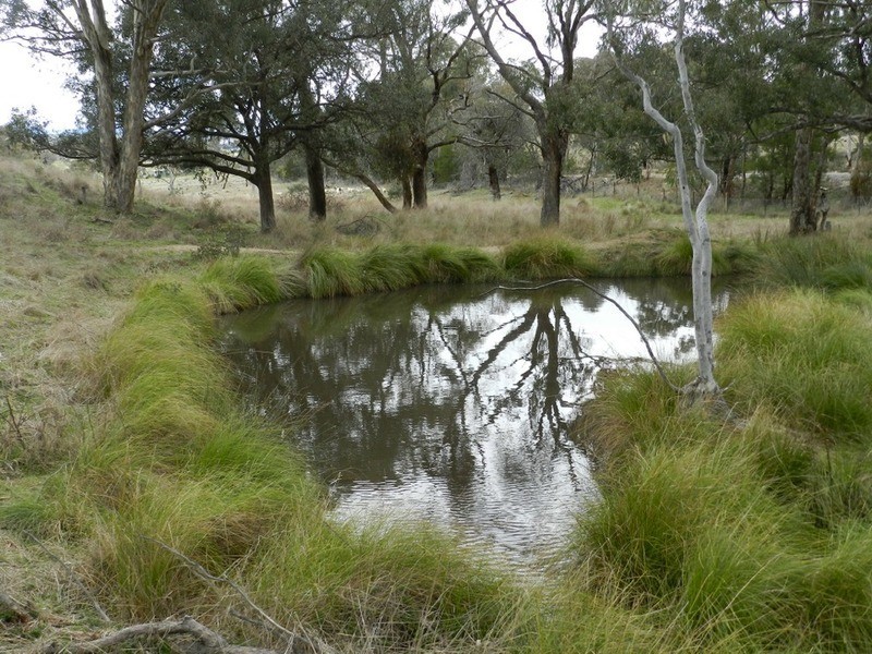 Lot 4 Mullins Creek Road, Breadalbane NSW 2581