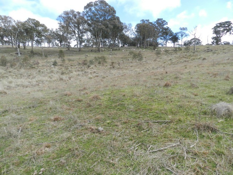 Lot 4 Mullins Creek Road, Breadalbane NSW 2581