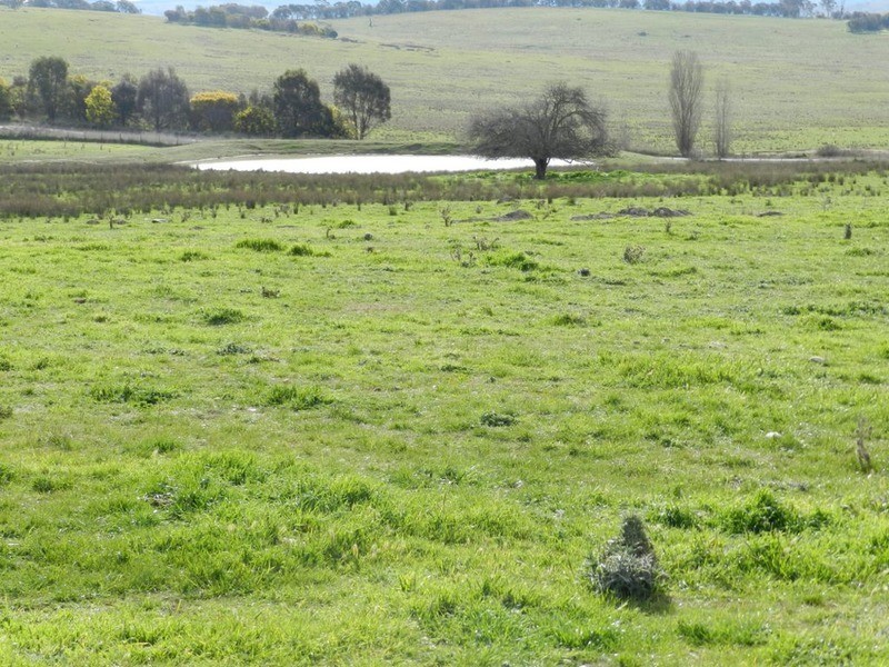 Lot 1 Greendale Road, Breadalbane NSW 2581