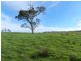 Lot 1 Greendale Road, Breadalbane NSW 2581