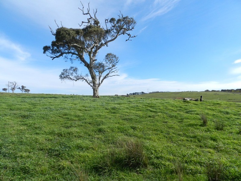 Lot 1 Greendale Road, Breadalbane NSW 2581