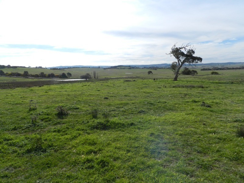 Lot 1 Greendale Road, Breadalbane NSW 2581