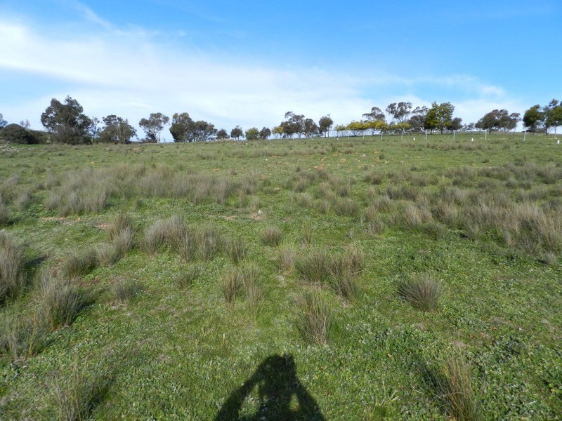 Lot 2 Greendale  Road, Breadalbane NSW 2581