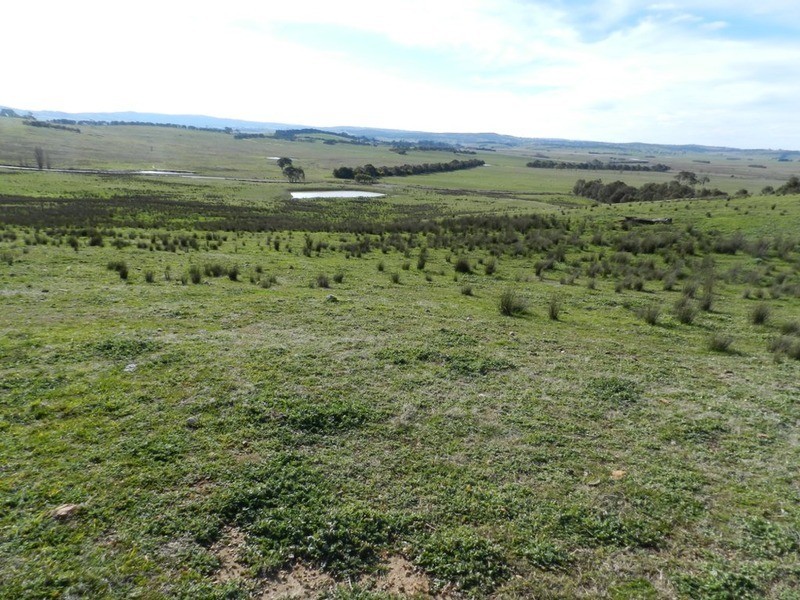 Lot 2 Greendale  Road, Breadalbane NSW 2581