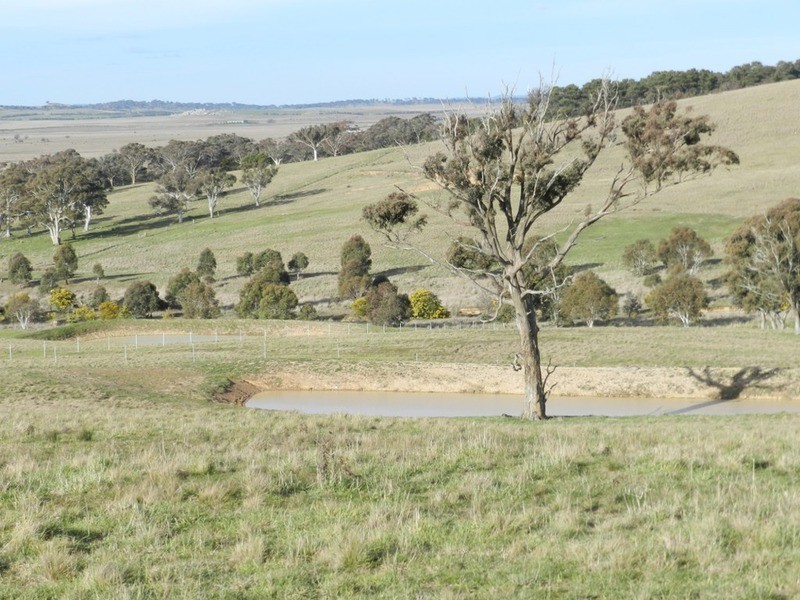 Lot 3 Greendale Road, Breadalbane NSW 2581