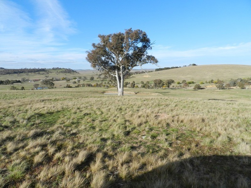 Lot 3 Greendale Road, Breadalbane NSW 2581