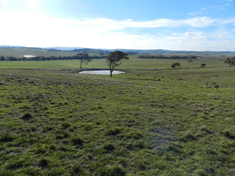 Lot 5 Greendale Road, Breadalbane NSW 2581