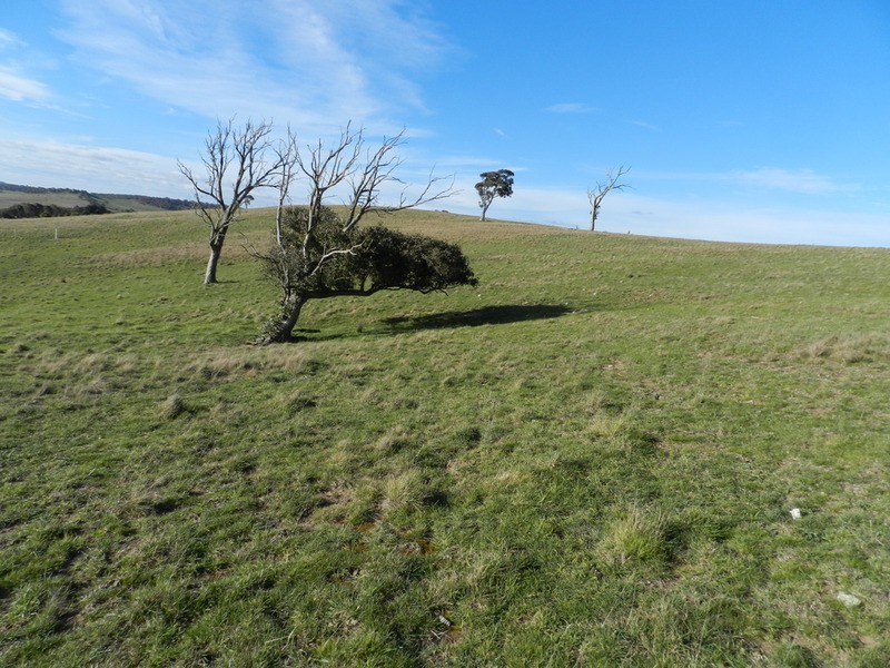 Lot 5 Greendale Road, Breadalbane NSW 2581