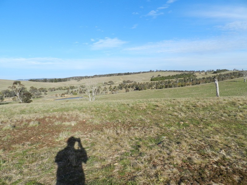 Lot 5 Greendale Road, Breadalbane NSW 2581