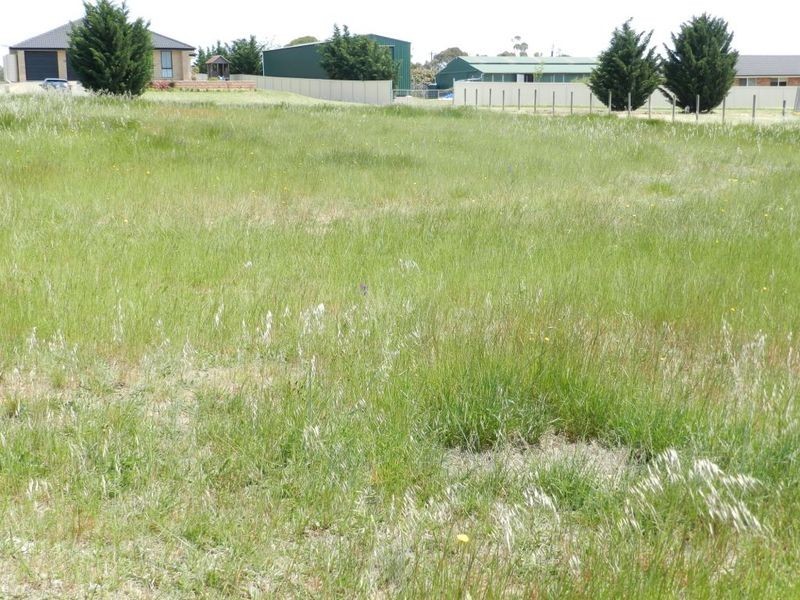 14 Racecourse Drive, Goulburn NSW 2580