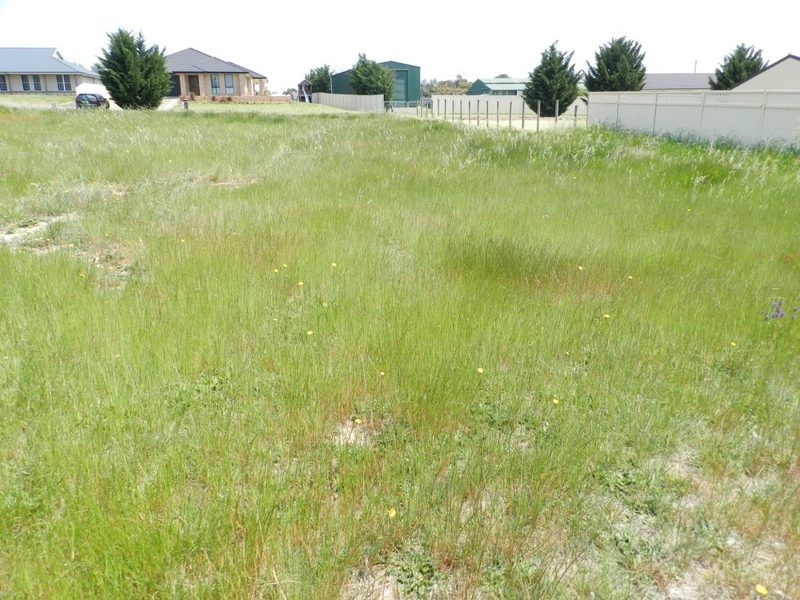 14 Racecourse Drive, Goulburn NSW 2580