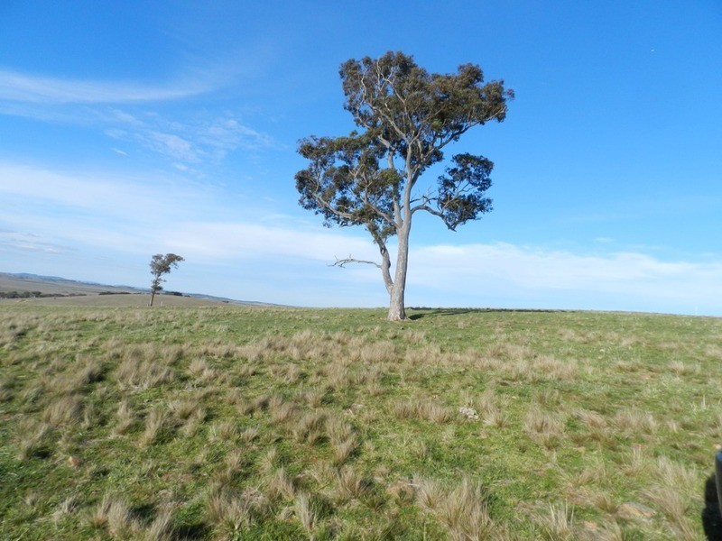 Lot 13 Greendale Road, Breadalbane NSW 2581