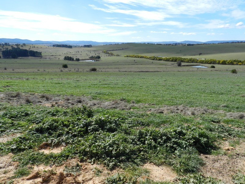 Lot 22 The Meadows Bonnett Park Drive, Goulburn NSW 2580