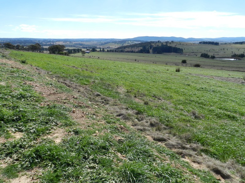 Lot 22 The Meadows Bonnett Park Drive, Goulburn NSW 2580