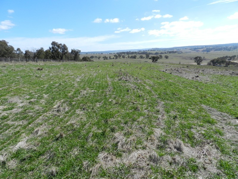 Lot 26 The Meadows Bonnett Park Drive, Goulburn NSW 2580