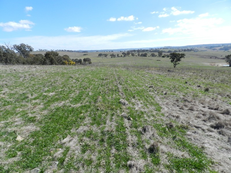 Lot 26 The Meadows Bonnett Park Drive, Goulburn NSW 2580