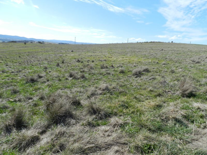 Lot 28 The Meadows Bonnett Park Drive, Goulburn NSW 2580