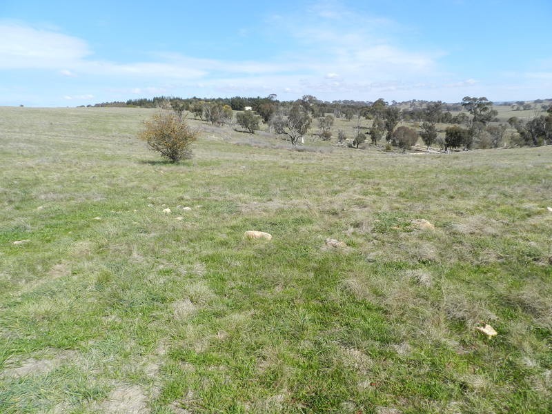 Lot 29 The Meadows Bonnett Park Drive, Goulburn NSW 2580