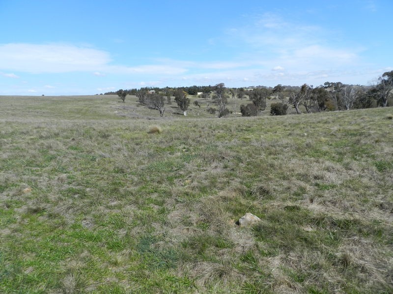 Lot 29 The Meadows Bonnett Park Drive, Goulburn NSW 2580