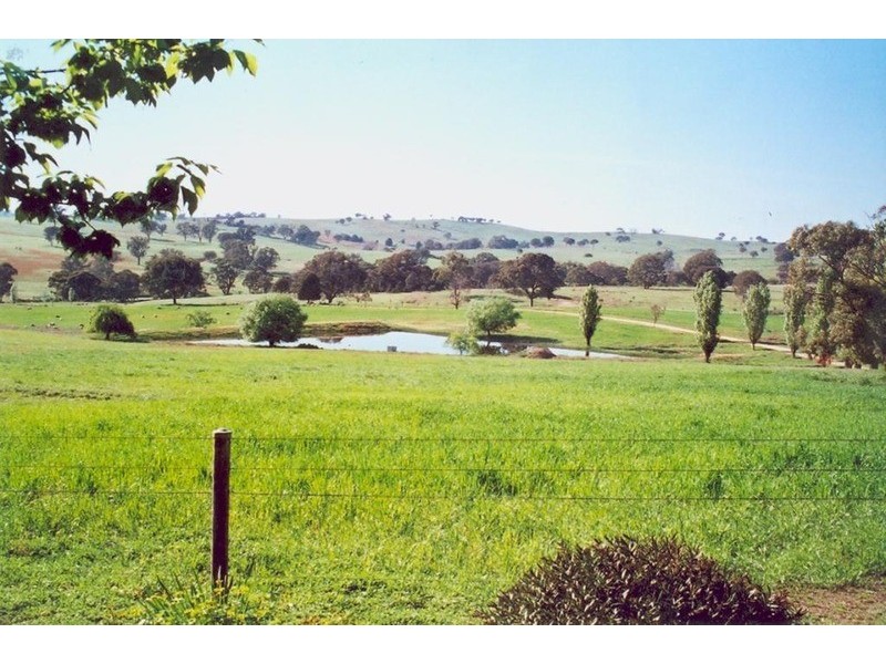 Willunga Sylvia Vale Road, Binda NSW 2583
