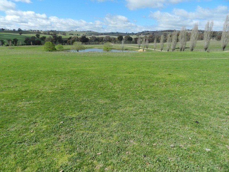 Willunga Sylvia Vale Road, Binda NSW 2583