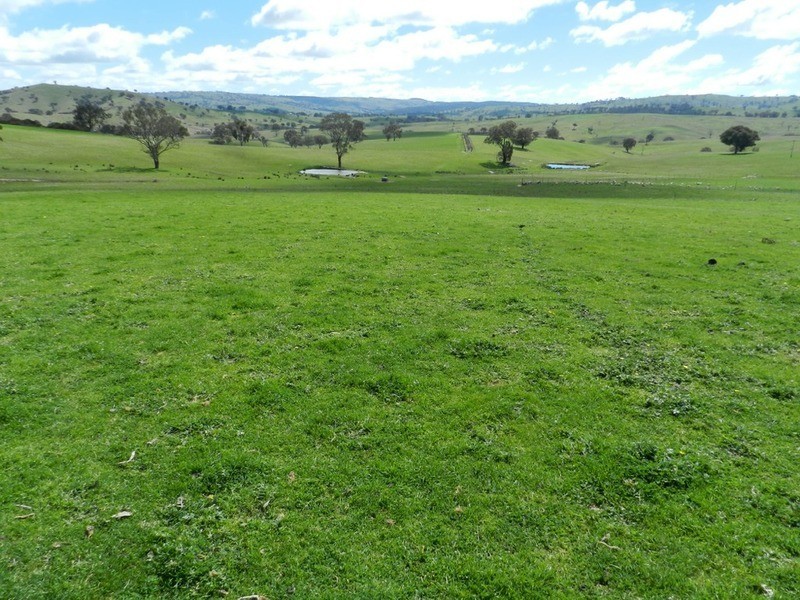 Willunga Sylvia Vale Road, Binda NSW 2583