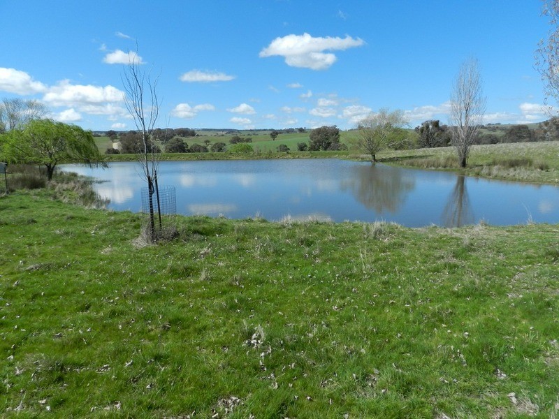 Willunga Sylvia Vale Road, Binda NSW 2583