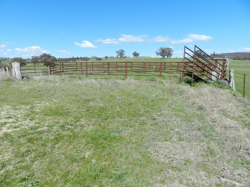 Willunga Sylvia Vale Road, Binda NSW 2583