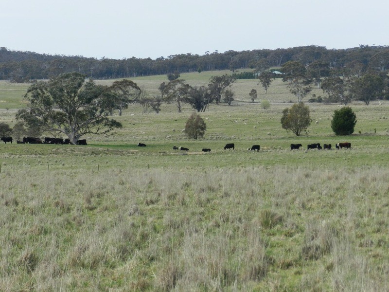 24 Dewsberry  Lane, Goulburn NSW 2580