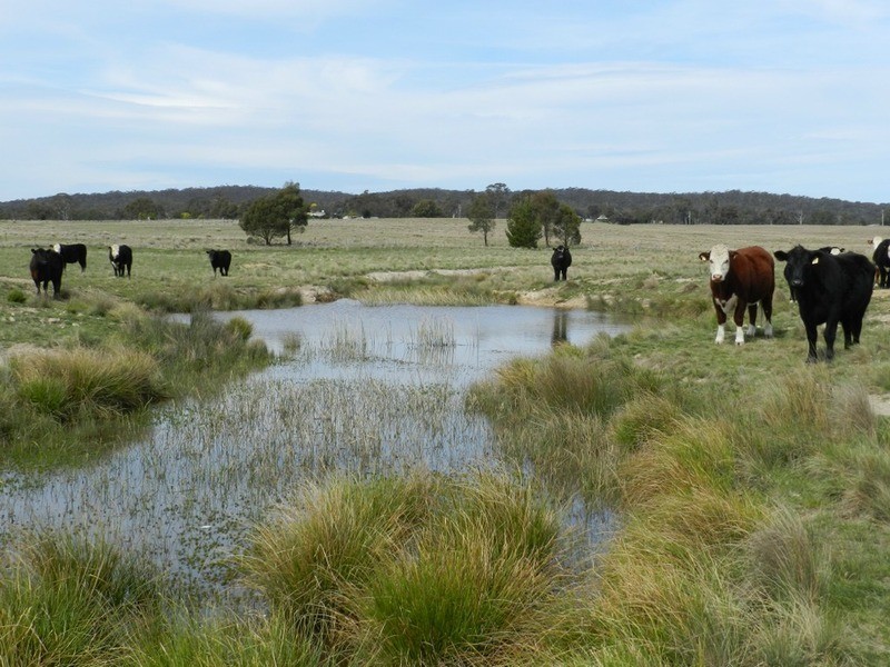 24 Dewsberry  Lane, Goulburn NSW 2580