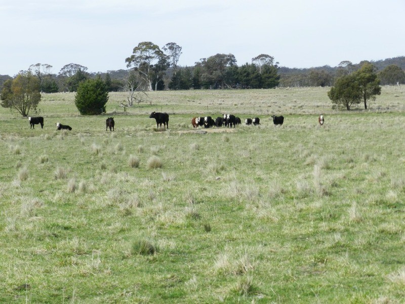 24 Dewsberry  Lane, Goulburn NSW 2580