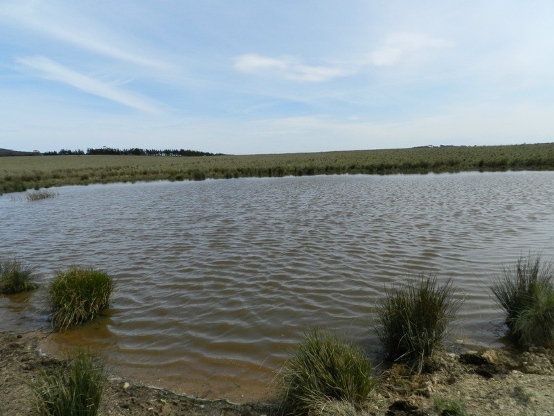 24 Dewsberry  Lane, Goulburn NSW 2580