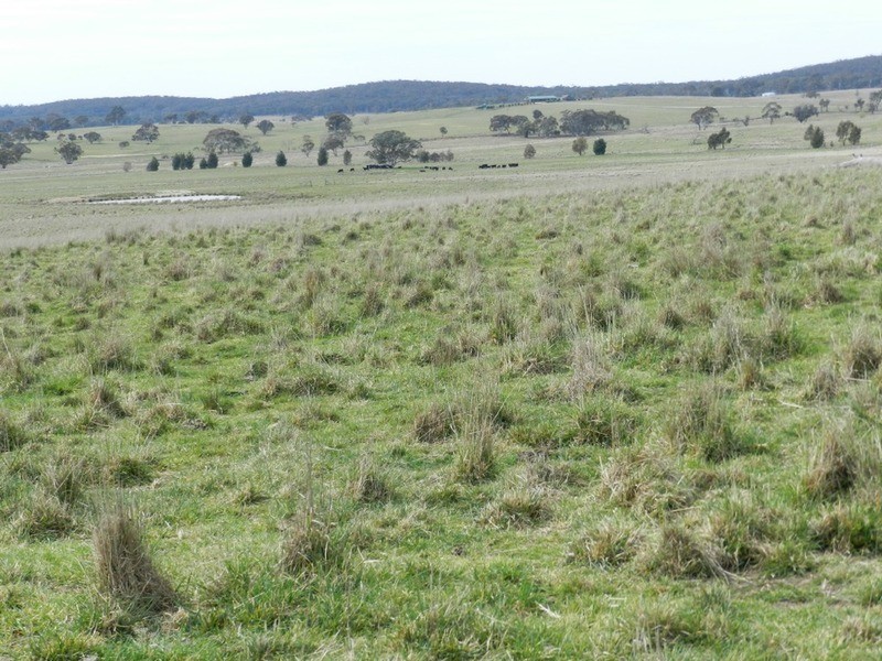 24 Dewsberry  Lane, Goulburn NSW 2580