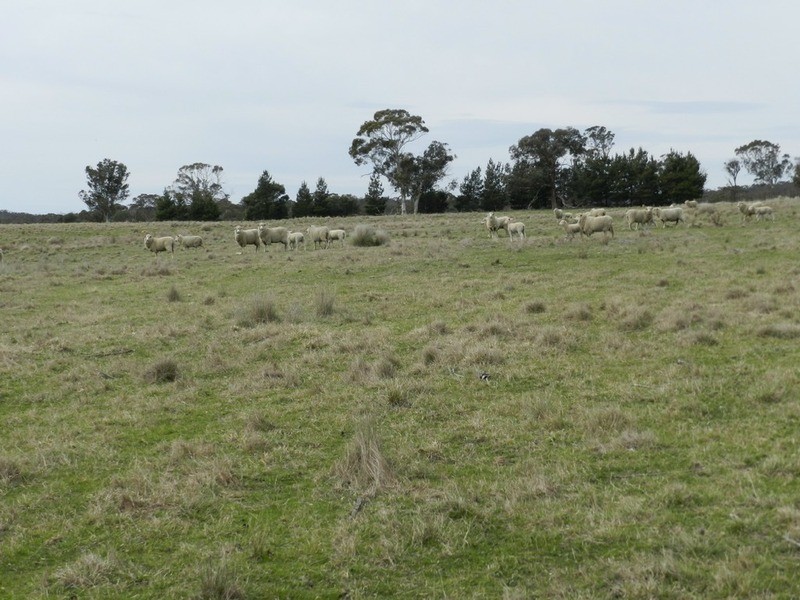 24 Dewsberry  Lane, Goulburn NSW 2580