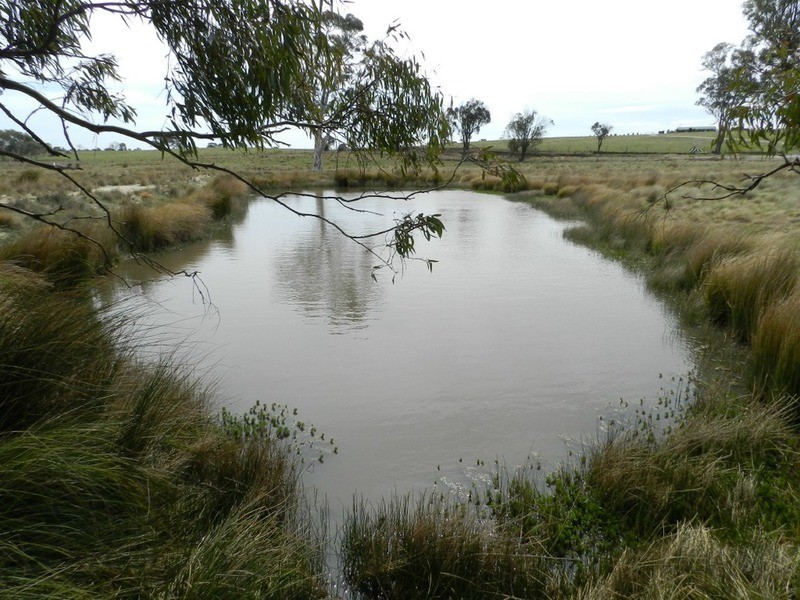 24 Dewsberry  Lane, Goulburn NSW 2580