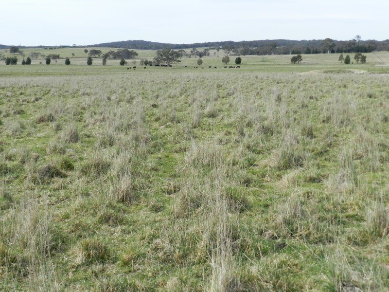 24 Dewsberry  Lane, Goulburn NSW 2580