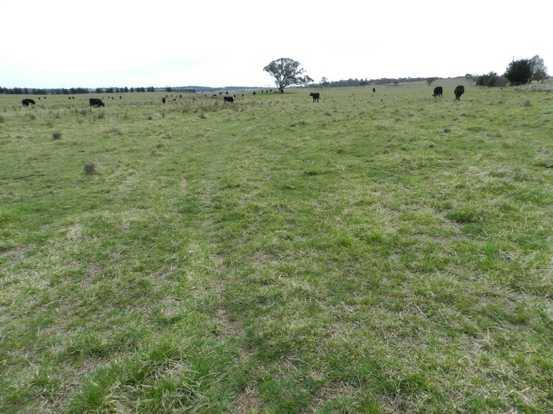 24 Dewsberry  Lane, Goulburn NSW 2580