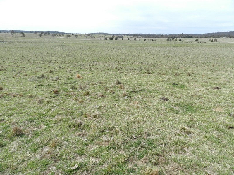 24 Dewsberry  Lane, Goulburn NSW 2580